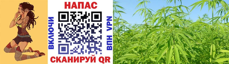 Купить закладки  Бабушкин  Бошки Шишки MAZAR 